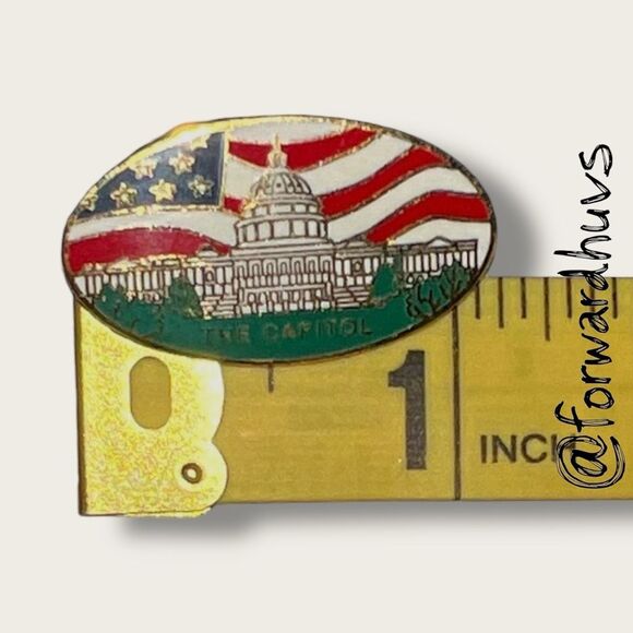 Pair of Oval Capitol Pins – U.S. Flag & Building Design – Gold Tone Backs - Picture 6 of 8
